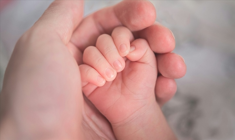 Bir ebeveynin avucunun içinde bir bebeğin eli