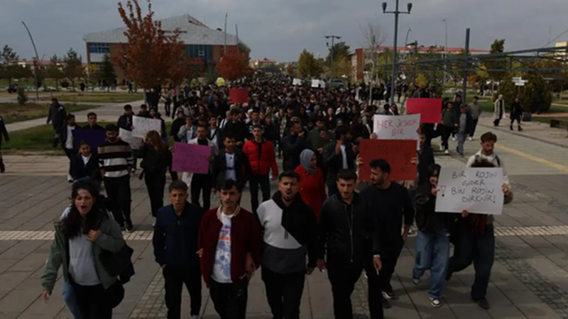 Van’da Rojin Kabaiş için Yürüyüş ve Suç Duyurusu