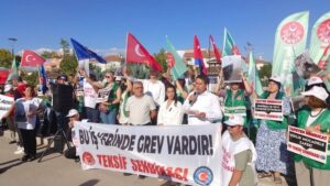 Tapeten’de Kadın İşçilerin Emeğinin Karşılığı ‘Eve Katkı’ Olarak Görülüyor
